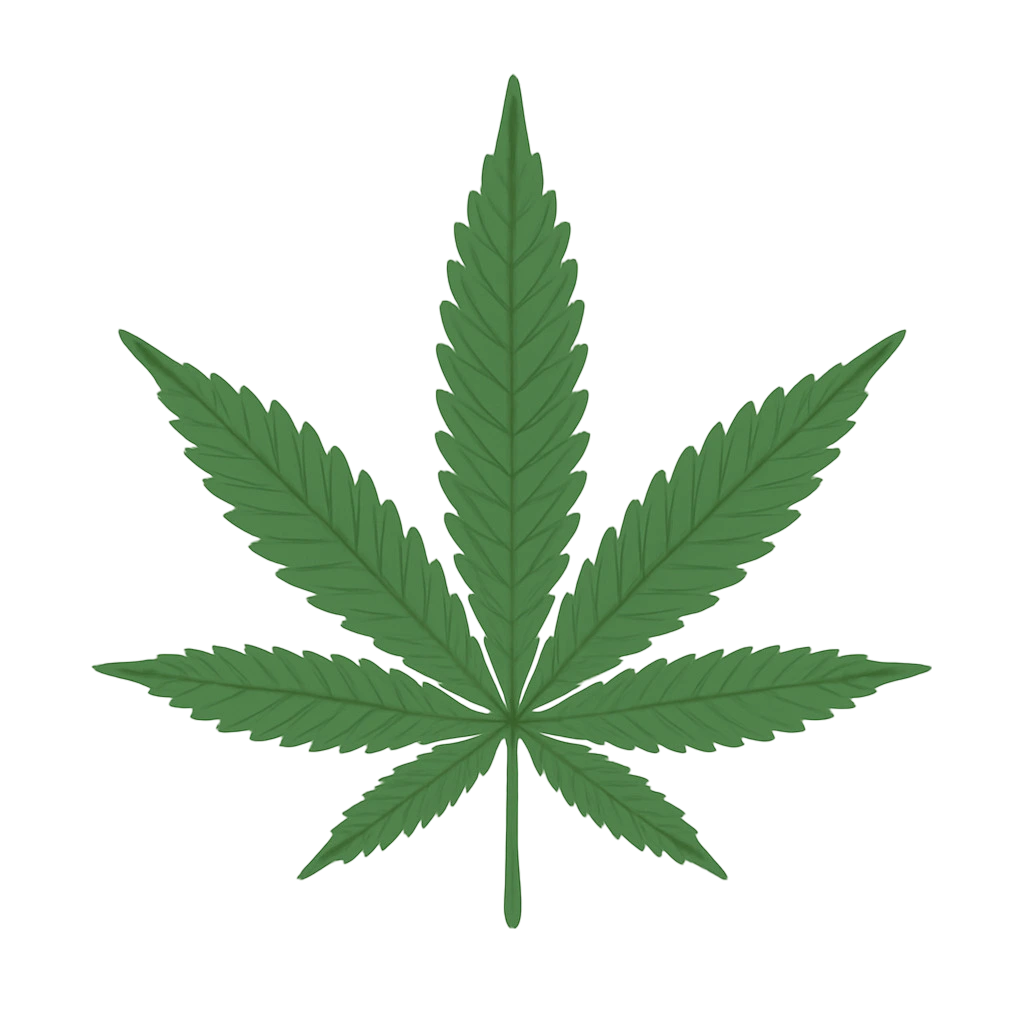 A Cannabis Leaf